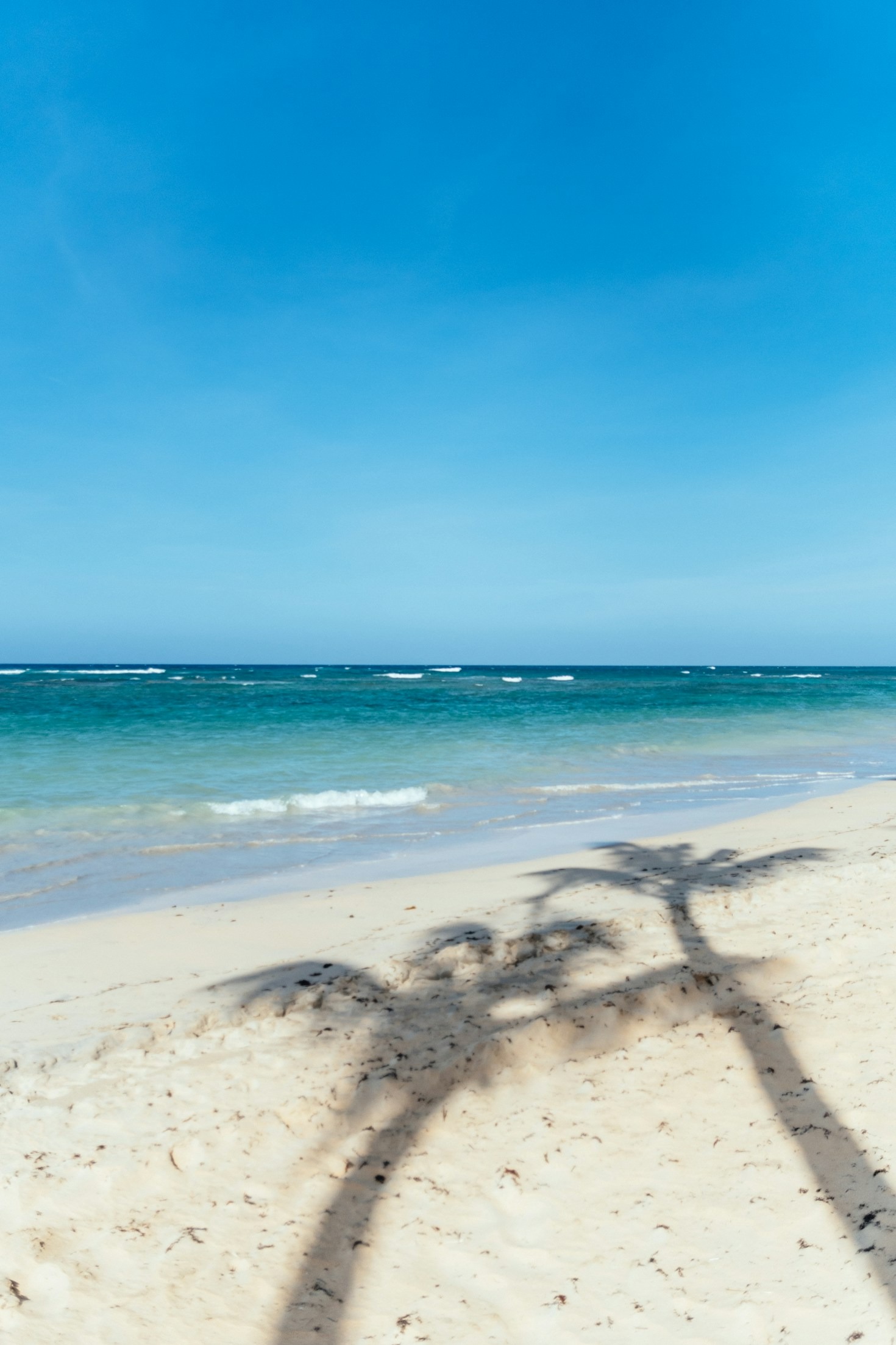Travel Planning Secrets for a Seamless Experience